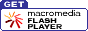 Download des Flash5 Players